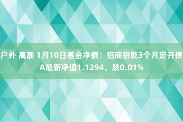 户外 高潮 1月10日基金净值：招商招乾3个月定开债A最新净值1.1294，跌0.01%