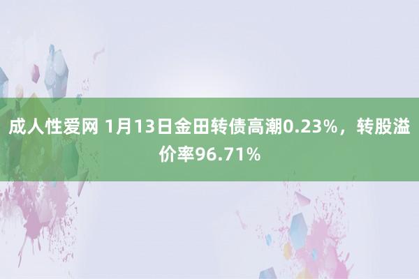 成人性爱网 1月13日金田转债高潮0.23%，转股溢价率96.71%