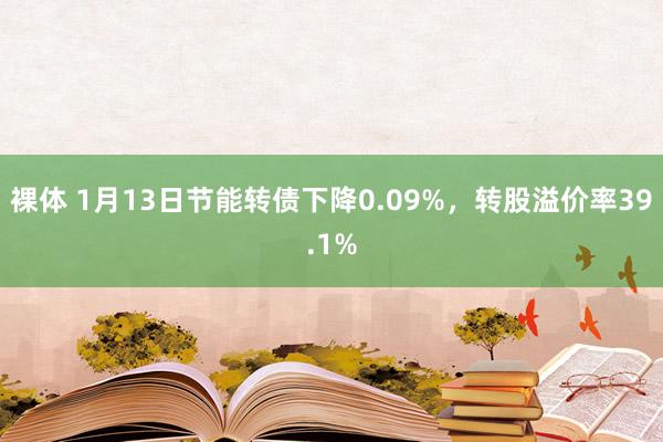 裸体 1月13日节能转债下降0.09%，转股溢价率39.1%