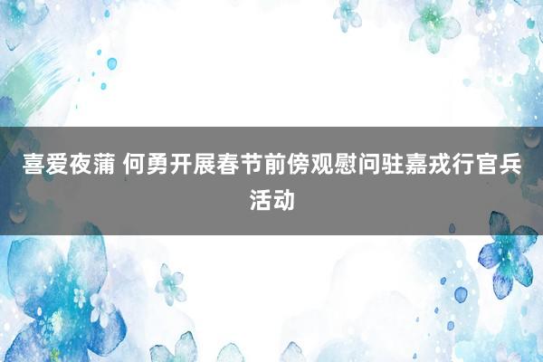 喜爱夜蒲 何勇开展春节前傍观慰问驻嘉戎行官兵活动