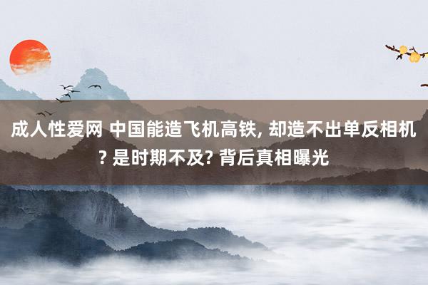 成人性爱网 中国能造飞机高铁， 却造不出单反相机? 是时期不及? 背后真相曝光