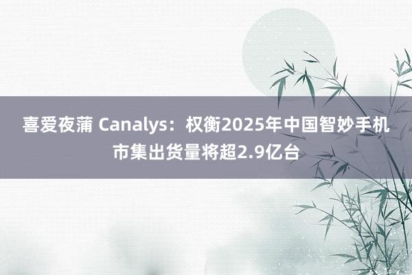 喜爱夜蒲 Canalys：权衡2025年中国智妙手机市集出货量将超2.9亿台