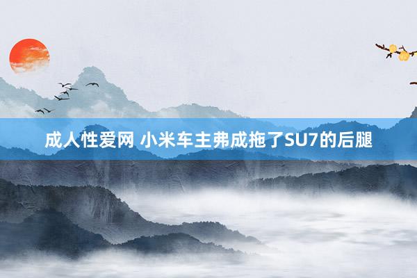 成人性爱网 小米车主弗成拖了SU7的后腿