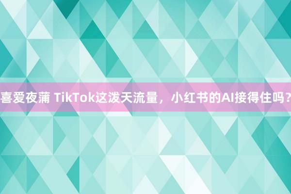 喜爱夜蒲 TikTok这泼天流量，小红书的AI接得住吗？