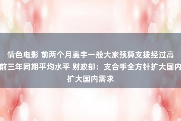情色电影 前两个月寰宇一般大家预算支拨经过高于以前三年同期平均水平 财政部：支合手全方针扩大国内需求